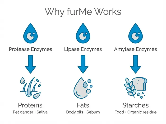 Diagram showing three enzyme types in furMe