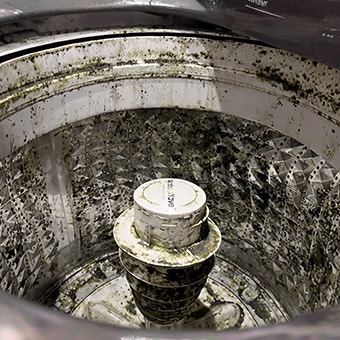Mold buildup inside washer drum before furMe